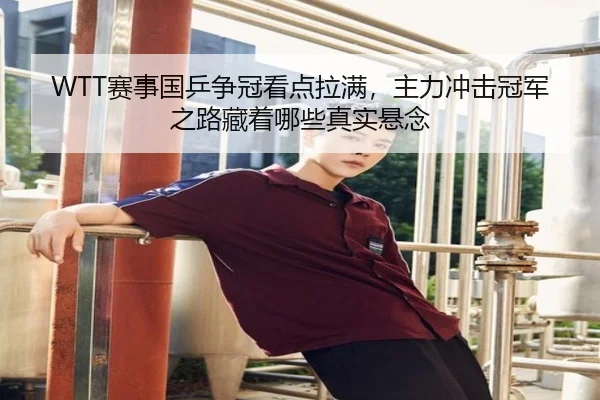 WTT赛事国乒争冠看点拉满，主力冲击冠军之路藏着哪些真实悬念